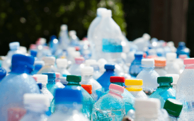 Toxins 101: Plastics, Plastics Everywhere!